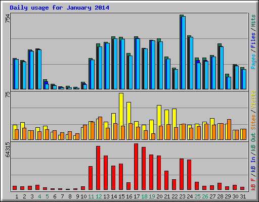 Daily usage for January 2014
