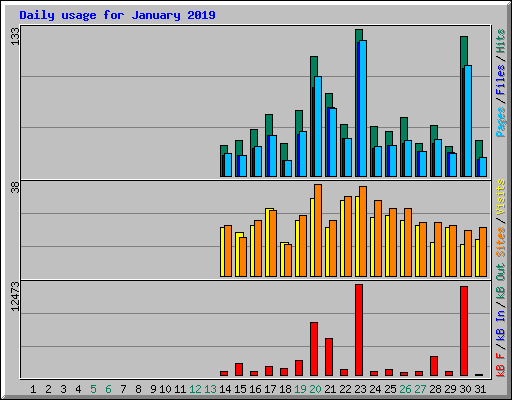 Daily usage for January 2019