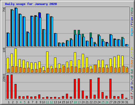 Daily usage for January 2020