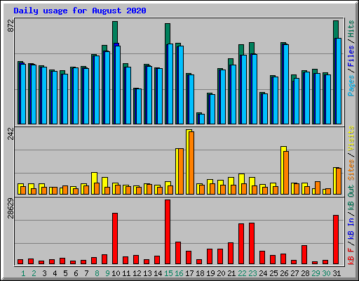 Daily usage for August 2020