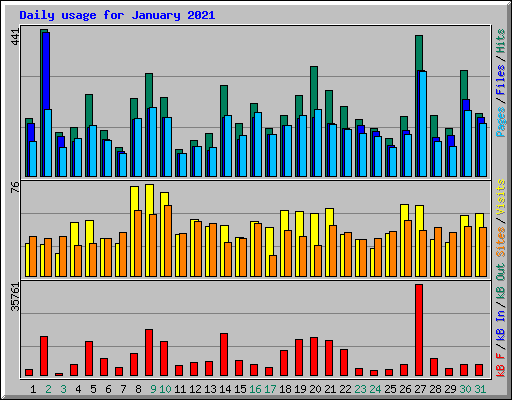 Daily usage for January 2021