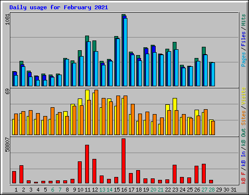 Daily usage for February 2021