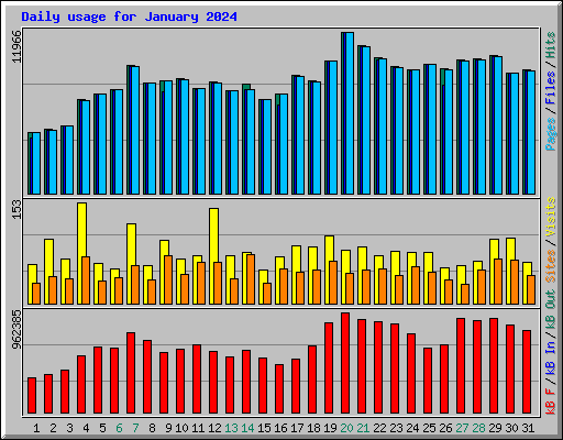 Daily usage for January 2024