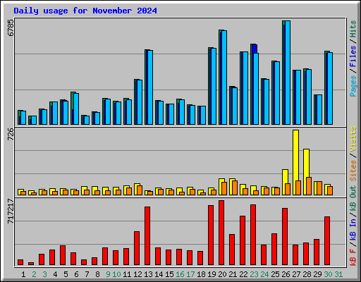 Daily usage for November 2024