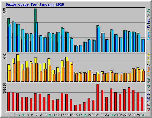 Daily usage for January 2026
