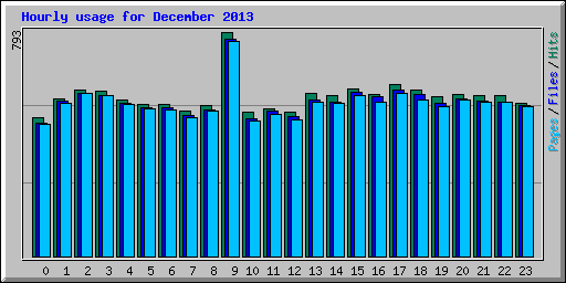 Hourly usage for December 2013