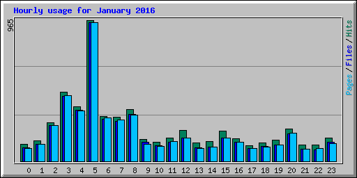 Hourly usage for January 2016