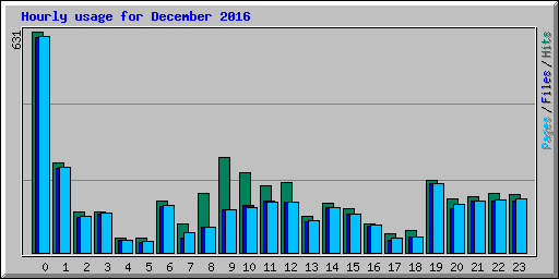 Hourly usage for December 2016