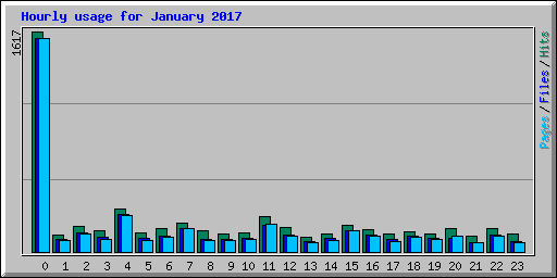 Hourly usage for January 2017
