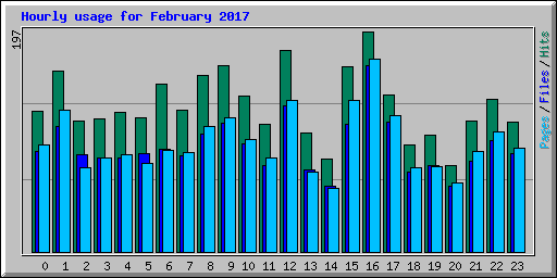 Hourly usage for February 2017