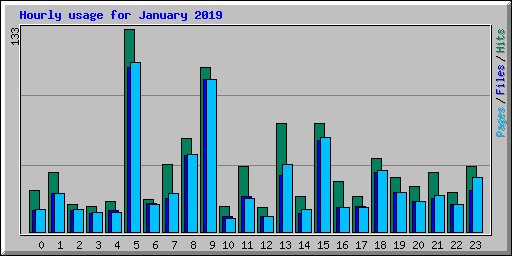 Hourly usage for January 2019