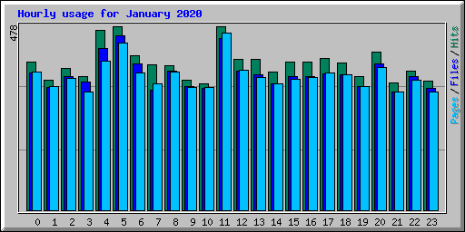 Hourly usage for January 2020