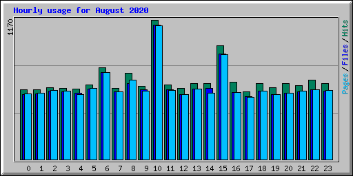 Hourly usage for August 2020