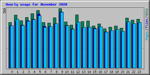 Hourly usage for November 2020