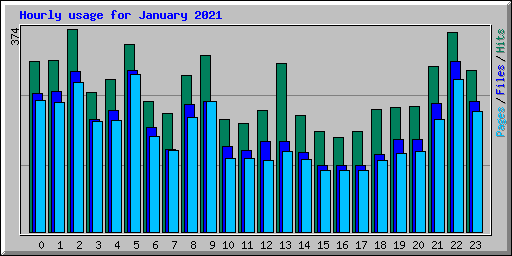 Hourly usage for January 2021