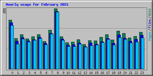 Hourly usage for February 2021