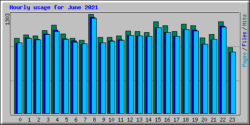 Hourly usage for June 2021