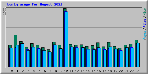 Hourly usage for August 2021