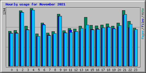 Hourly usage for November 2021