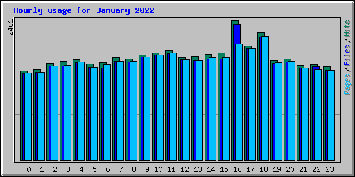 Hourly usage for January 2022