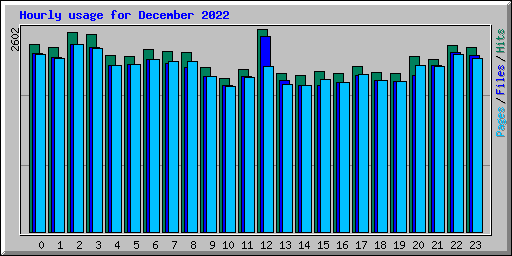 Hourly usage for December 2022