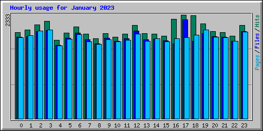 Hourly usage for January 2023
