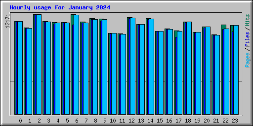 Hourly usage for January 2024