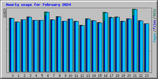 Hourly usage for February 2024