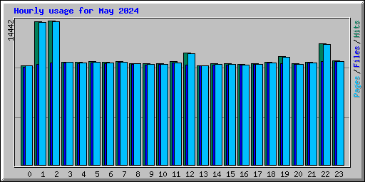 Hourly usage for May 2024