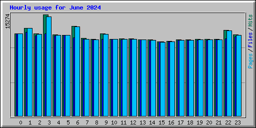 Hourly usage for June 2024