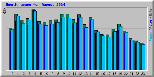 Hourly usage for August 2024