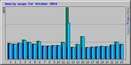 Hourly usage for October 2024