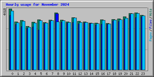 Hourly usage for November 2024