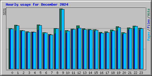 Hourly usage for December 2024