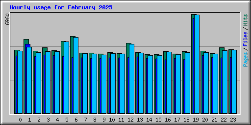 Hourly usage for February 2025