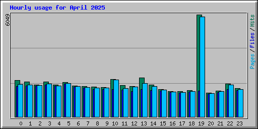 Hourly usage for April 2025