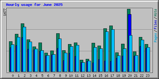 Hourly usage for June 2025