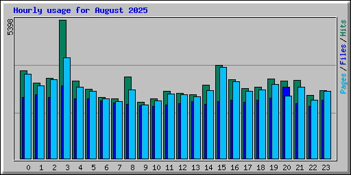 Hourly usage for August 2025