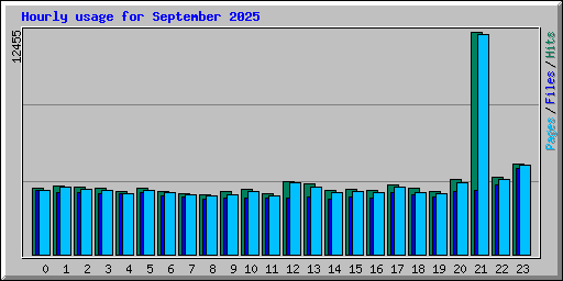Hourly usage for September 2025