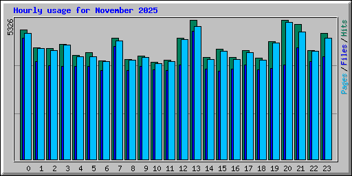 Hourly usage for November 2025