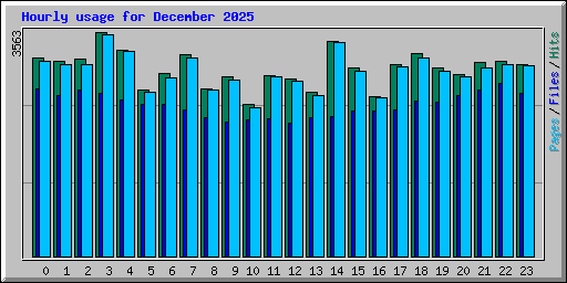 Hourly usage for December 2025